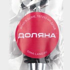 Пробка для бутылки новогодняя Доляна «Дедушка Мороз», серебристая - Фото 3