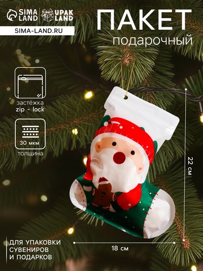 Пакет подарочный новогодний «Санта», с zip - lock застежкой, 18×22 см