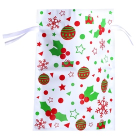 Пакет подарочный новогодний с завязками, «Ассорти», 24?32 см (комплект 5 шт)