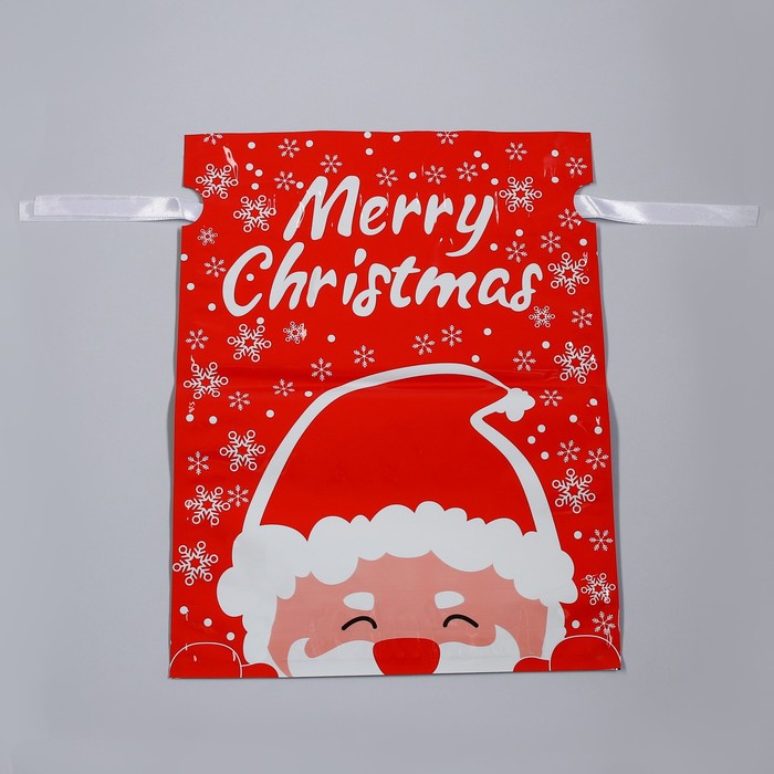 Пакет подарочный с завязками, "Дед Мороз", 24х32 см