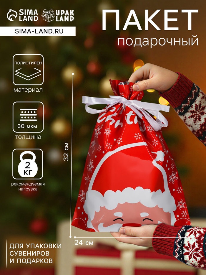 Пакет подарочный новогодний с завязками, «Дед Мороз», 24×32 см - Фото 1