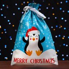 Пакет подарочный с завязками, "Счастливый пингвин", 29х43 см - фото 8239205