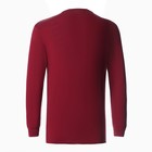 Лонгслив мужской однотонный, цвет бордовый, размер 50 - Фото 4