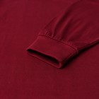 Лонгслив мужской однотонный, цвет бордовый, размер 52 - Фото 3