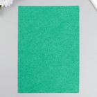 Фетр мягкий "Светло Зеленый" 1 мм (набор 10 листов) формат А4 - фото 7365888