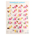 Плакат дидактический «Английский алфавит. Весёлые животные», 45 × 64 см - фото 320079292