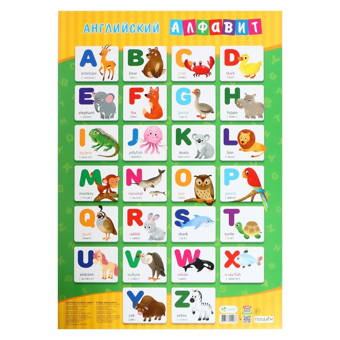 Плакат дидактический «Английский алфавит», 45 × 64 см - Фото 1