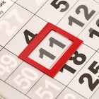 Календарь квартальный, моно "Символ года - 5" 2024 год, 30х46 см - Фото 3