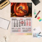 Календарь квартальный, моно "Символ года - 6" 2024 год, 30х46 см - фото 11095357
