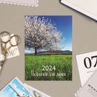 Календарь отрывной "Пейзажи для души" 2024 год, на магните, 10х13,5 см - фото 11095428