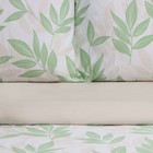 КПБ LoveLife 2сп "Листики" 175*215см, 200*225см, 50*70см-2шт, 100%хлопок, сатин, 125г/м - фото 806134308