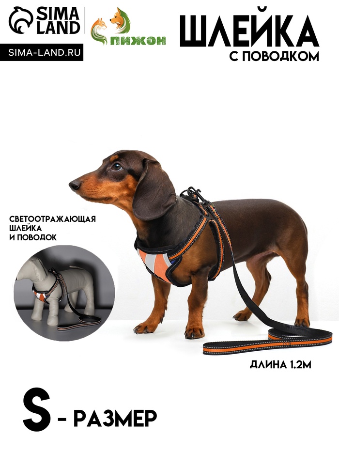 Комплект амуниции светоотражающий, размер M, ОГ 40-70 см, стропа 2 см, оранжевый - Фото 1