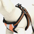 Комплект амуниции светоотражающий, размер M, ОГ 40-70 см, стропа 2 см, оранжевый - Фото 2