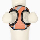 Комплект амуниции светоотражающий, размер M, ОГ 40-70 см, стропа 2 см, оранжевый - Фото 6