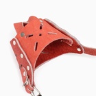 Намордник регулируемый из мягкой кожи, размер № 2, ДН 5-6 см, ОМ 15-19 см, коричневый - Фото 7