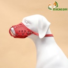 Намордник регулируемый из мягкой кожи, размер № 4, ДН 7-9 см, ОМ 22-25 см, коричневый - Фото 2