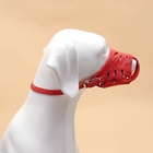 Намордник регулируемый из мягкой кожи, размер № 4, ДН 7-9 см, ОМ 22-25 см, коричневый - Фото 5