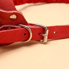 Намордник регулируемый из мягкой кожи, размер № 5, ДН 7-11 см, ОМ 25-28 см, коричневый - Фото 5