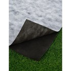 Материал укрывной, 10 × 0,8 м, плотность 80 г/м², чёрно-белый, «Агротекс» - Фото 3