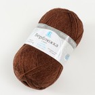 Пряжа для вязания спицами, крючком «Камтекс. Верблюжка», 30% акрил, 70% верблюжья шерсть, 250 м/100 г, (грильяж 127) - фото 22843183