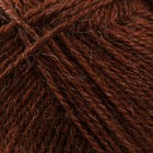 Пряжа для вязания спицами, крючком «Камтекс. Верблюжка», 30% акрил, 70% верблюжья шерсть, 250 м/100 г, (грильяж 127) - фото 22843184