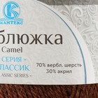 Пряжа для вязания спицами, крючком «Камтекс. Верблюжка», 30% акрил, 70% верблюжья шерсть, 250 м/100 г, (грильяж 127) - фото 22843185