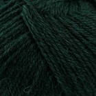 Пряжа "Шелкопряд" 70% п/т шерсть, 30% искусственный шелк 300м/100гр (Зеленый 110) - фото 22843198