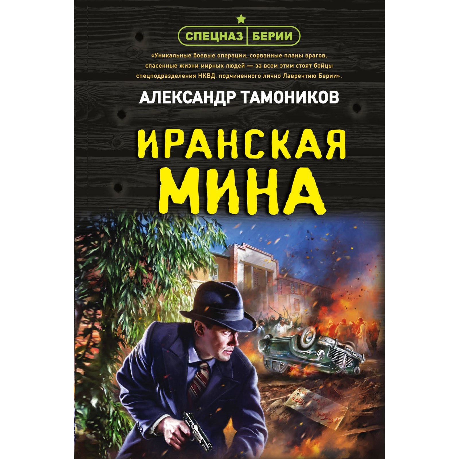 Тамоников эхо северных скал. Воронята книга. Иранские мины. Тамоников а. Тамоников эхо северных скал.