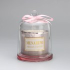 Свеча ароматическая "Menahem", цитрус и ароматические травы, 8х11, 5 см - фото 7366265