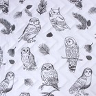 Покрывало LoveLife евро Owls 200×210±5 см, микрофайбер, 100% п/э - Фото 3
