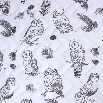 Покрывало евро LoveLife Owls, 200×210±5 см, микрофайбер