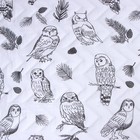 Покрывало LoveLife евро макси Owls 240*210±5см, микрофайбер, 100% п/э - Фото 2