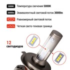 Лампа автомобильная LED Clim Art H4K9A, 12В, P43t (H4), 2 шт - Фото 3