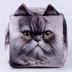 Антистресс кубы «кот», серый, угрюмый - фото 3616058