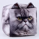 Антистресс кубы «кот», серый, угрюмый - фото 3616059