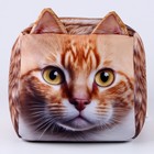 Антистресс кубы «кот», рыжий - фото 738178