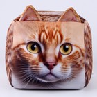 Антистресс кубы «кот», рыжий - фото 3616064