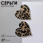 Серьги акрил «Сердце» леопард, цвет золотисто-чёрный 9643893 - фото 11875675