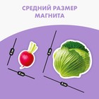 Магнитная игра «‎Овощи»‎ - Фото 3