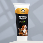 Зубная паста с мятой "Пижон Premium" для кошек и собак, 75 мл - фото 7413036
