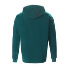 Худи мужское, цвет изумруд, размер 54 (2XL) 9924847 - фото 11104388