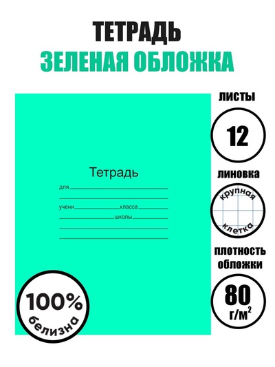 Тетрадь 12 листов в крупную клетку «Зелёная обложка», плотность 60 г/м²