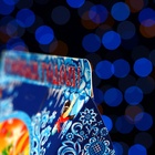 Подарочная новогодняя коробка «Дед мороз с белочкой» 24.5×11.5×23 см - Фото 6