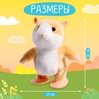 Интерактивная игрушка «Хомячок повторюшка», звук, ходит, повторяет слова - Фото 3