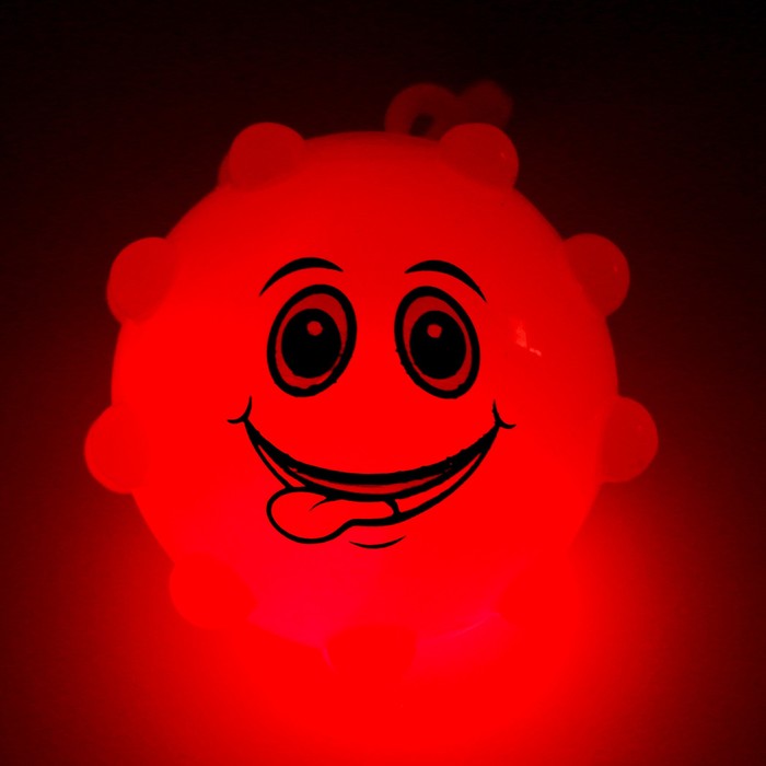 Мяч световой «Мордочка» с пищалкой, цвета МИКС - фото 1884303862