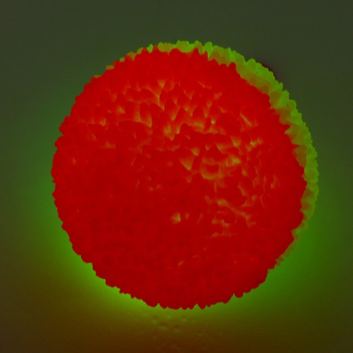 Мяч световой «Пушистик» с пищалкой, цвета МИКС - фото 1885767069