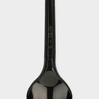 Ложка одноразовая «Стандарт», пластик, 12.5 см, чайная, чёрная - Фото 4