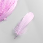 Набор перьев гуся 13-18 см, 20 шт, светло-сиреневый - фото 7408126