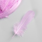 Набор перьев гуся 13-18 см, 20 шт, светло-сиреневый - фото 7408127