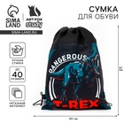 Мешок для обуви «T-REX динозавр» (нетканый материал) 41×30 см - Фото 1
